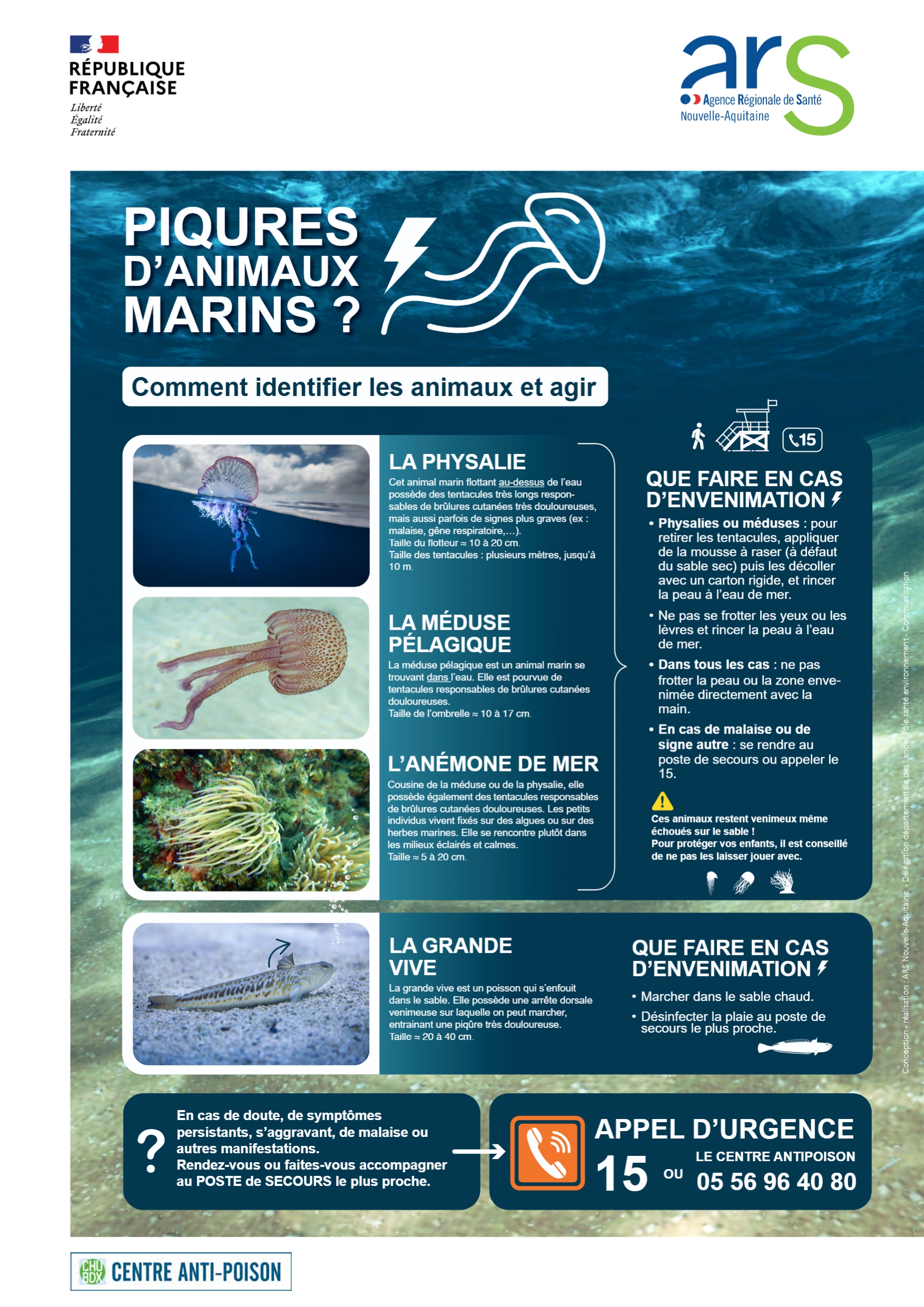 PIQURES_AnimauxMarins.jpg