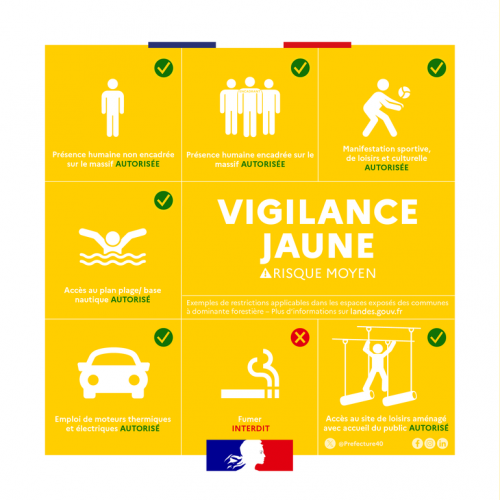 Vignette-jaune_feux de foret.png