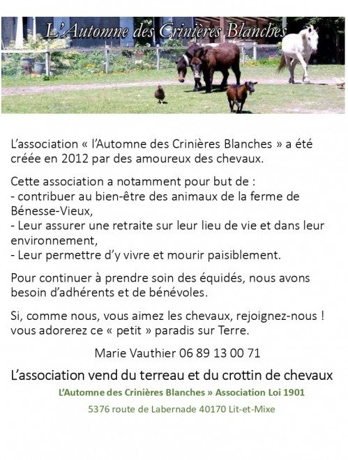 Flyer infos AUTOMNE DES CRINIERES BLANCHES.jpg