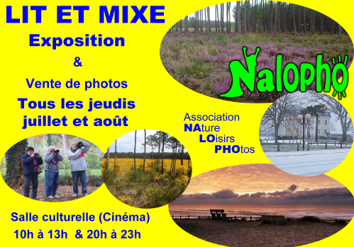 Affiche NALOPHO.jpg
