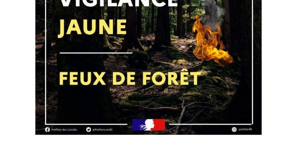 Vigilance Jaune Feux de Forêt_0.jpg